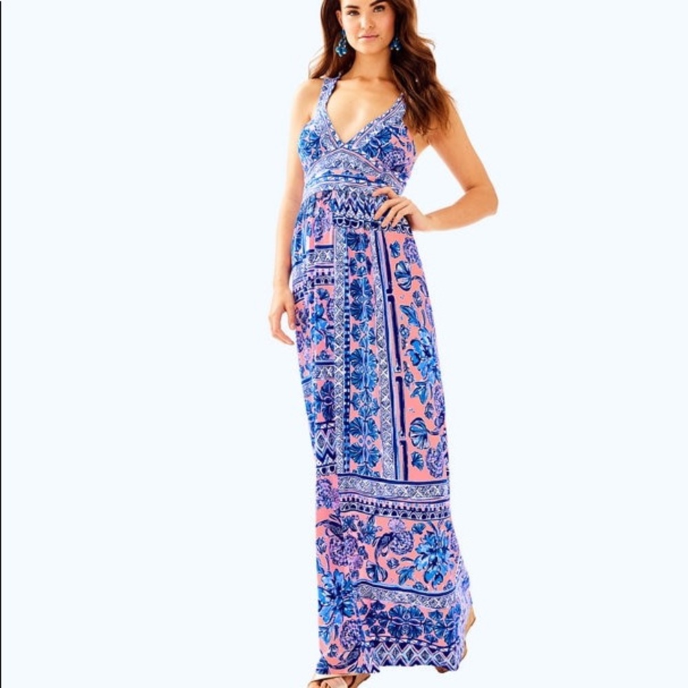 NWT XS Taryn maxi